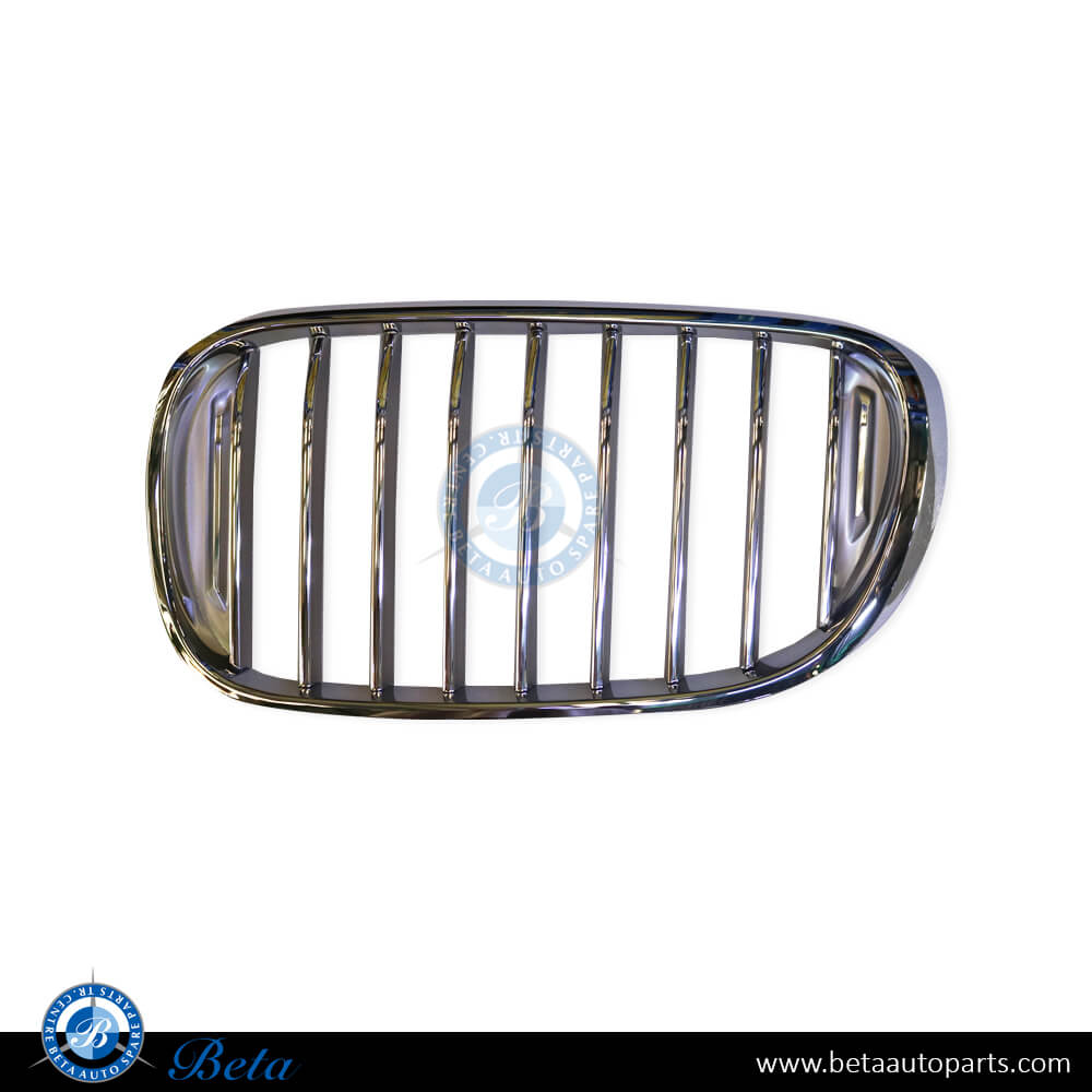 Left Side Radiator Grille - Pure Excellence for BMW 7 Series G11/G12 2016-2019 models, Part Number 51137369903 Left Side Radiator Grille - Pure Excellence for BMW 7 Series G11/G12 2016-2019 models, Part Number 51137369903